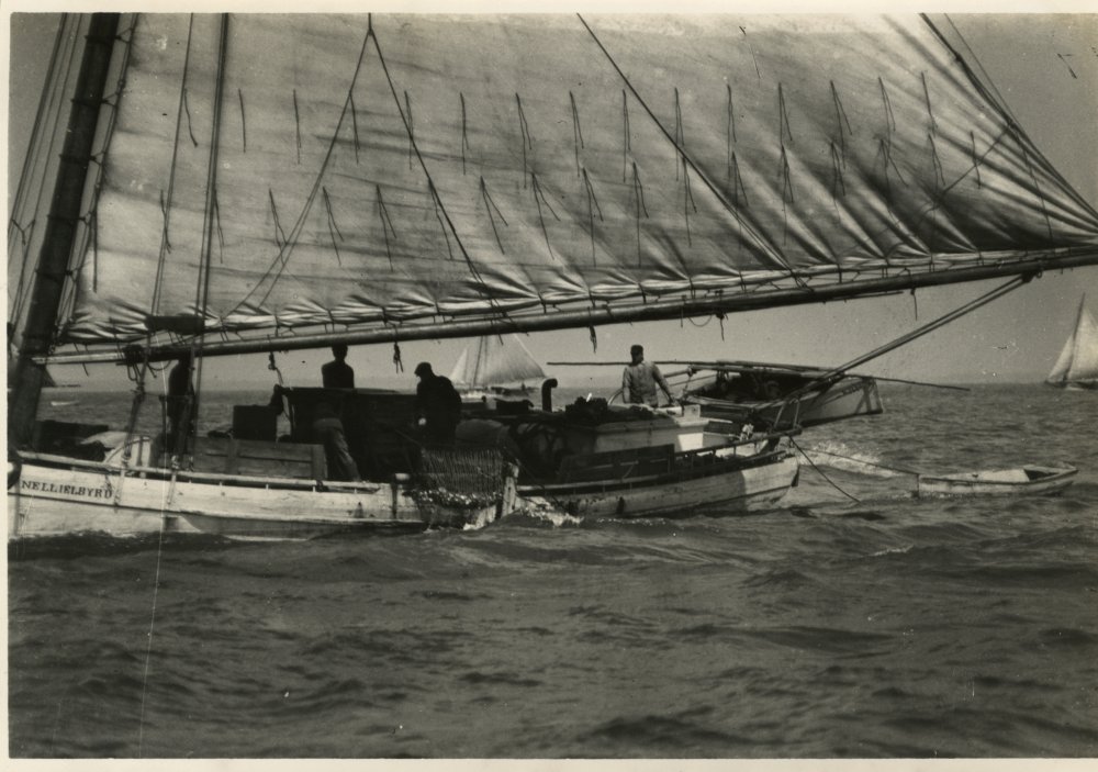 98-210 (click for large image)
